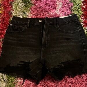 NWT American Eagle Boyfriend Shorts